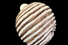 Quarks-medidas-30-x-30-x-30-cms-1