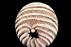 Quarks-medidas-30-x-30-x-30-cms-2