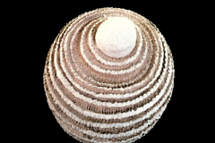 Quarks-medidas-30-x-30-x-30-cms-3