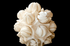 Asteroide-medidas-38-x-35-x-35-cms-2