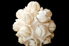 Asteroide-medidas-38-x-35-x-35-cms-4