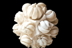 Asteroide-medidas-38-x-35-x-35-cms-5