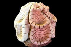 Fractal-Bidimensional-Medidas-36-x-36-x-36-cms-1