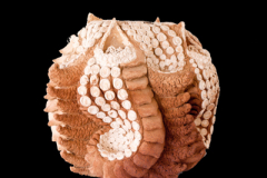 Fractal-Celular-medidas-32-x-32-x-32-cms-1