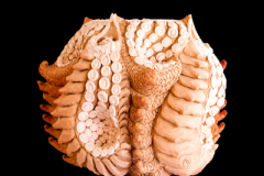 Fractal-Celular-medidas-32-x-32-x-32-cms-2