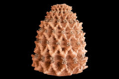 Fractal-del-Silencio-medidas-45x-33-x-33-cm-1