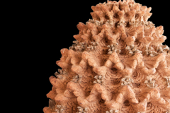 Fractal-del-Silencio-medidas-45x-33-x-33-cm-2