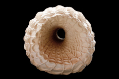 Agujero-del-Tiempo-medidas-45-x-45-x-45-cms-2
