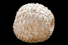 Agujero-del-Tiempo-medidas-45-x-45-x-45-cms-3