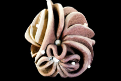 Bosson-de-Higgs-medidas-50-x-50x-30-cms-1
