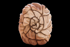 Renacimiento-medidas-46-x-37-x-30-cms-1