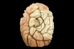 Renacimiento-medidas-46-x-37-x-30-cms-4