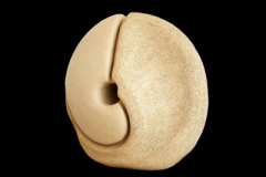 Bosson-medidas-45-x-50-x-30-cms-1