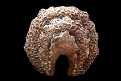 Morula-medidas-44-x-44-x-30-cm-3