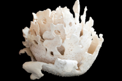 Nacimiento-Energetico-medidas-50-x-50-x-50-cm-8