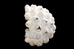 Sincronizacion-medidas-38-x-38-x-30-cms-1