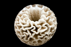 Toroide-de-Membranas-medidas-45-x-45-x-45-cms-1