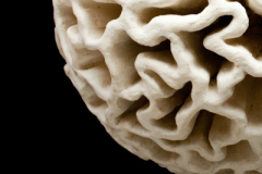 Toroide-de-Membranas-medidas-45-x-45-x-45-cms-3