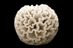 Toroide-de-Membranas-medidas-45-x-45-x-45-cms-4