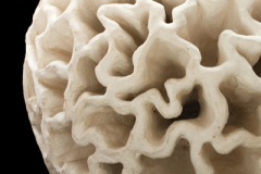 Toroide-de-Membranas-medidas-45-x-45-x-45-cms-5