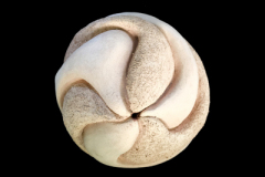 Hadronmedidas-33-x-33-x-33-cms-1