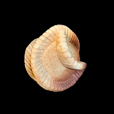 Anillos de Van Hallen medidas 50 x 50 x 50 cms 3 - Geometría divina