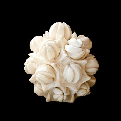 Asteroide medidas 38 x 35 x 35 cms 6 - Inicio