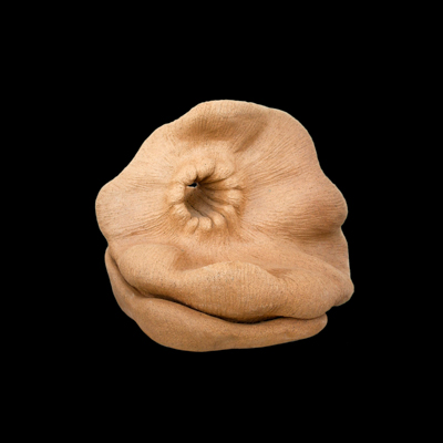 Brana medidas 48 x 50 x 30 cms 3 - Membranas dimensionales