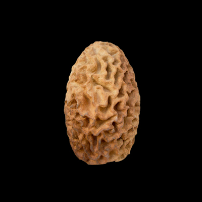 Energia Sutil medidas 42 x 40 x 30 cms 1 - Luces gestacionales