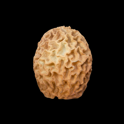 Energia Sutil medidas 42 x 40 x 30 cms 5 - Inicio