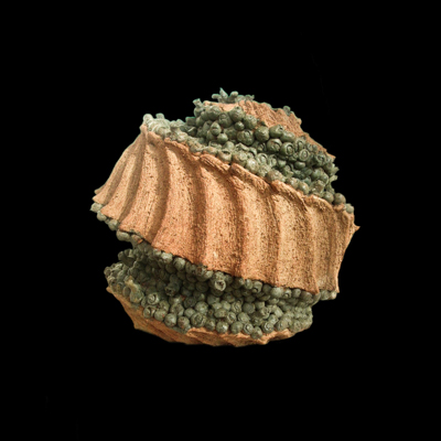 Esbozo Multigestacional medidas 50 x 50 x 50 cms 1 - Luces gestacionales