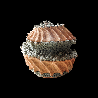 Esbozo Multigestacional medidas 50 x 50 x 50 cms 4 - Inicio