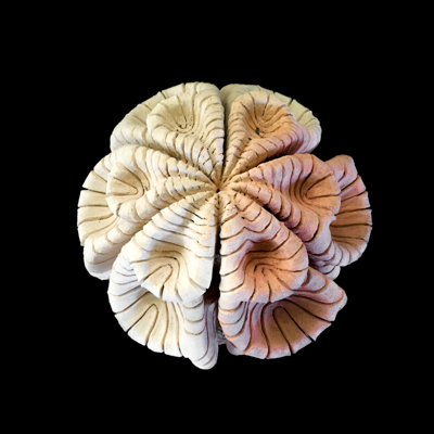 Fractal Bidimensional Medidas 36 x 36 x 36 cms 2 - Inicio