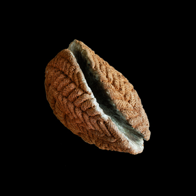 Misterio de la aparicion medidas 47 x 47 x 37 cms 3 - Inicio