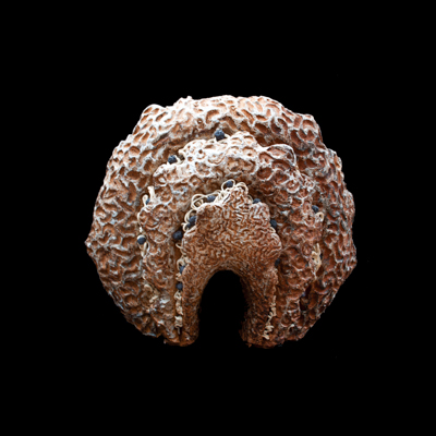 Morula medidas 44 x 44 x 30 cm 3 - Membranas dimensionales