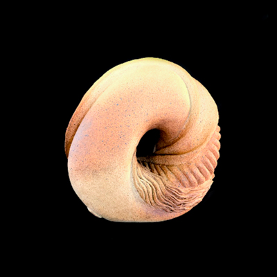 Onda Vibracional medidas 42 x 42 x 30 cms 6 - Inicio