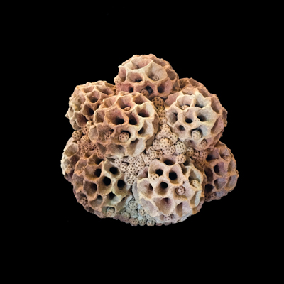 Particulas Elementales medidas 44 x 46 x 46 cm 1 - Particulas sub atomicas