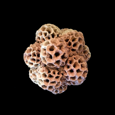 Particulas Elementales medidas 44 x 46 x 46 cm 6 - Particulas sub atomicas