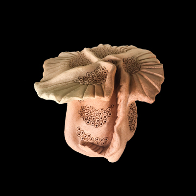 Plancton medidas 40 x 40 x 40 cms 1 - Inicio