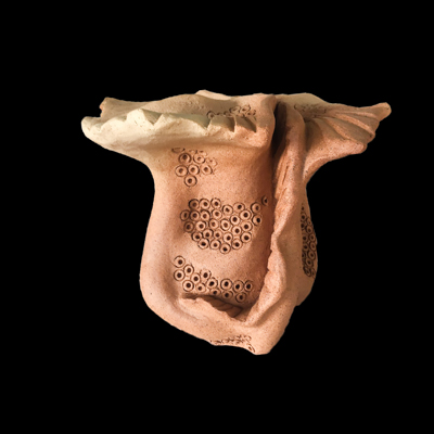 Plancton medidas 40 x 40 x 40 cms 3 - Luces gestacionales