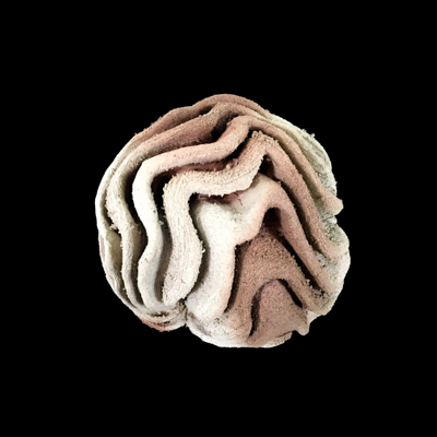 Radiaciones Solares medidas 42 x 42 x 42 cm 12 - Particulas sub atomicas