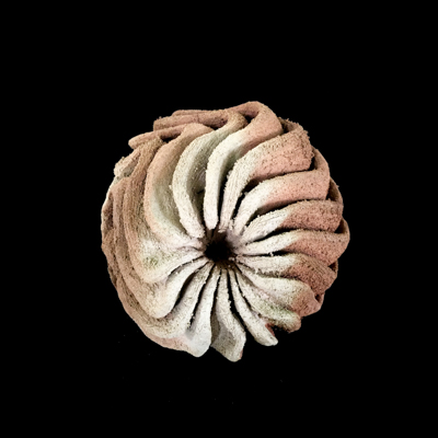 Radiaciones Solares medidas 42 x 42 x 42 cm 6 - Particulas sub atomicas