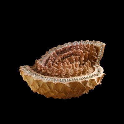 Secreto Develado medidas 39 x 50 x 50 cms 3 - Luces gestacionales