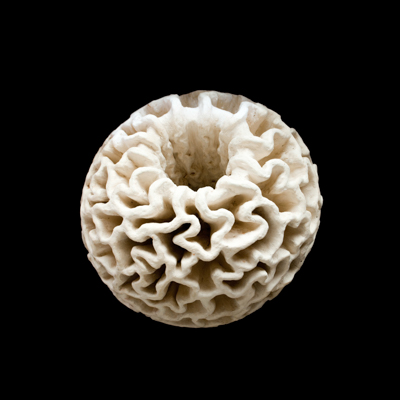 Toroide de Membranas medidas 45 x 45 x 45 cms 1 - Membranas dimensionales