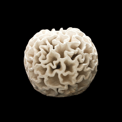 Toroide de Membranas medidas 45 x 45 x 45 cms 4 - Membranas dimensionales