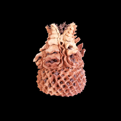 Vacio Cuantico medidas 50 x 31 x 31 cms 2 - Inicio